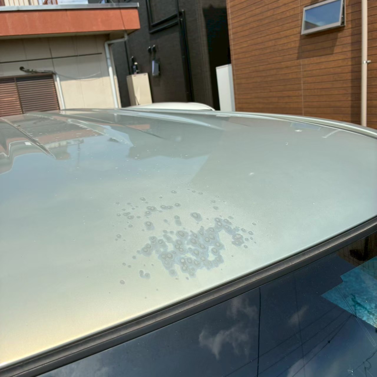 LINE_ALBUM_9133タントカスタムX_251031_4