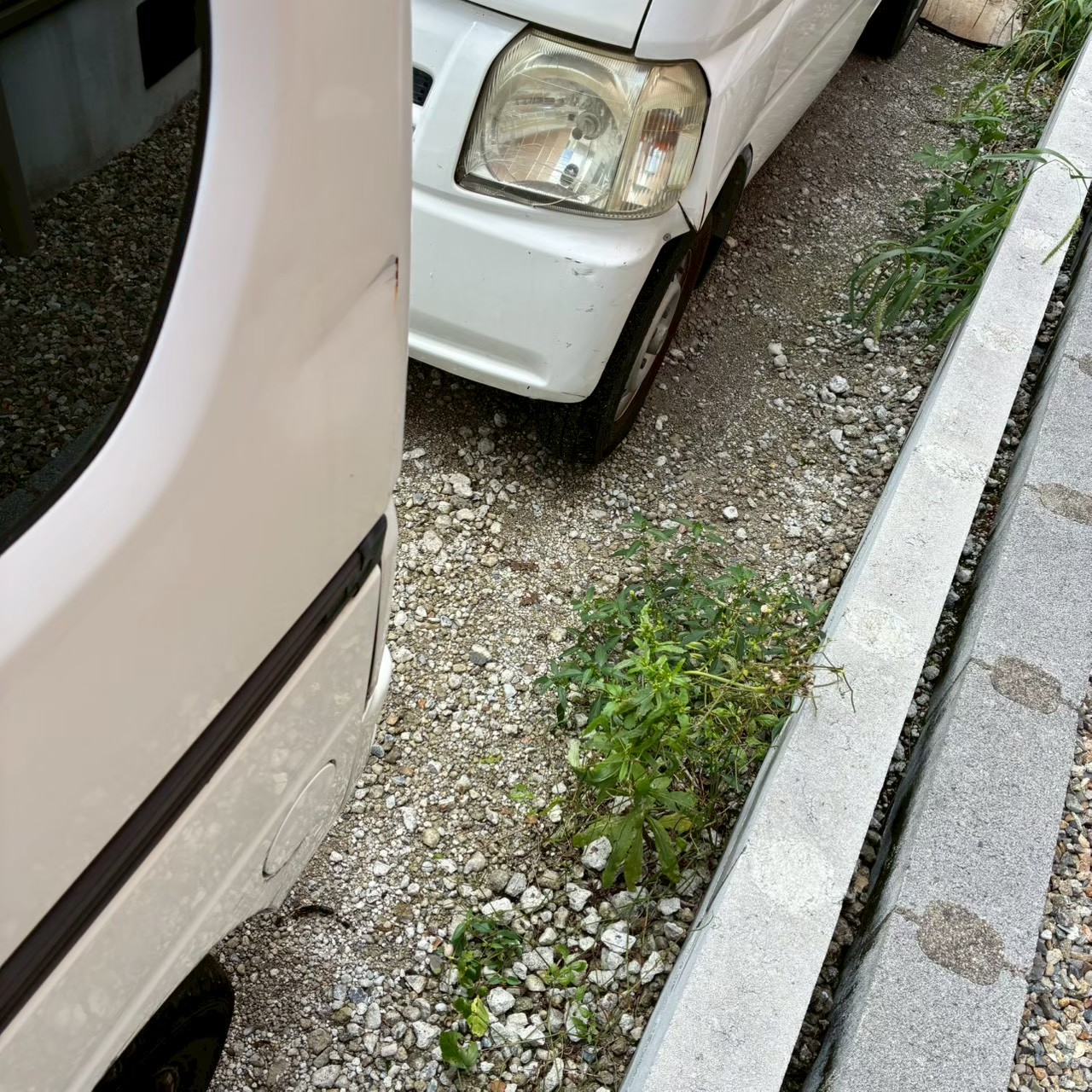 LINE_ALBUM_9202アクティバン_251104_2