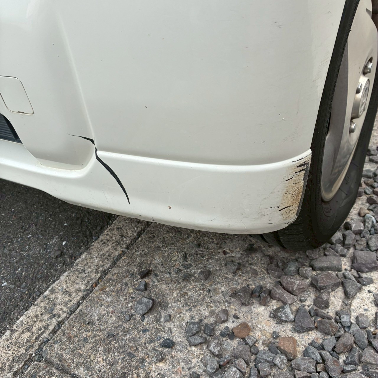 LINE_ALBUM_11154バモス_251212_2