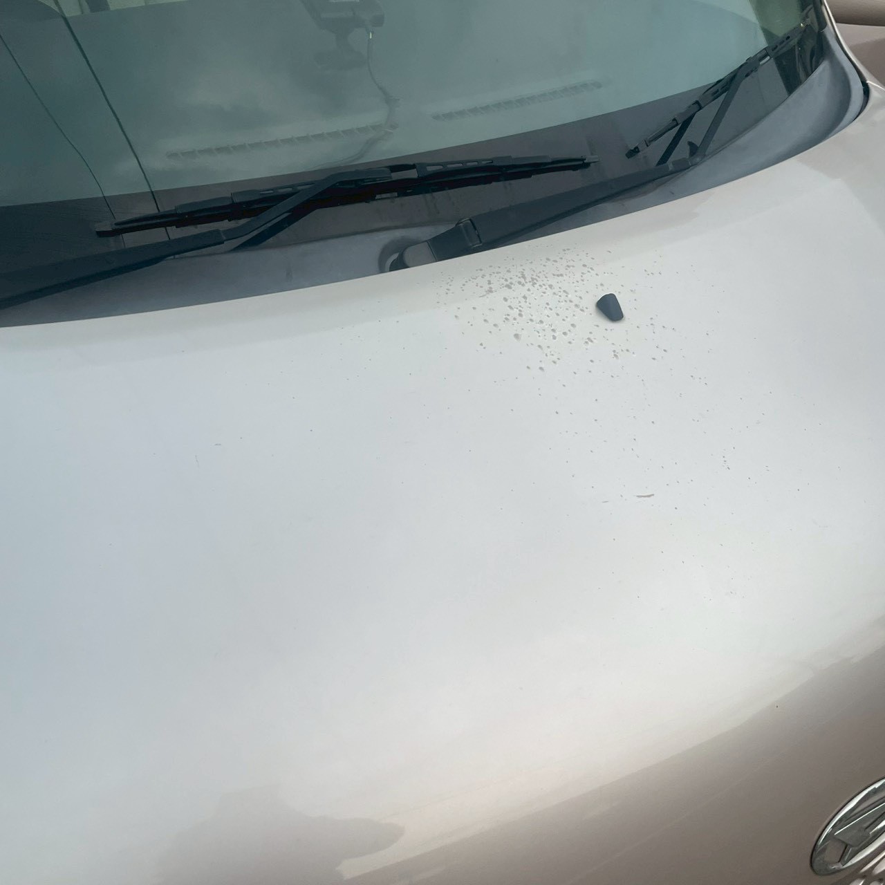 LINE_ALBUM_N1208ムーヴラテ_251212_22